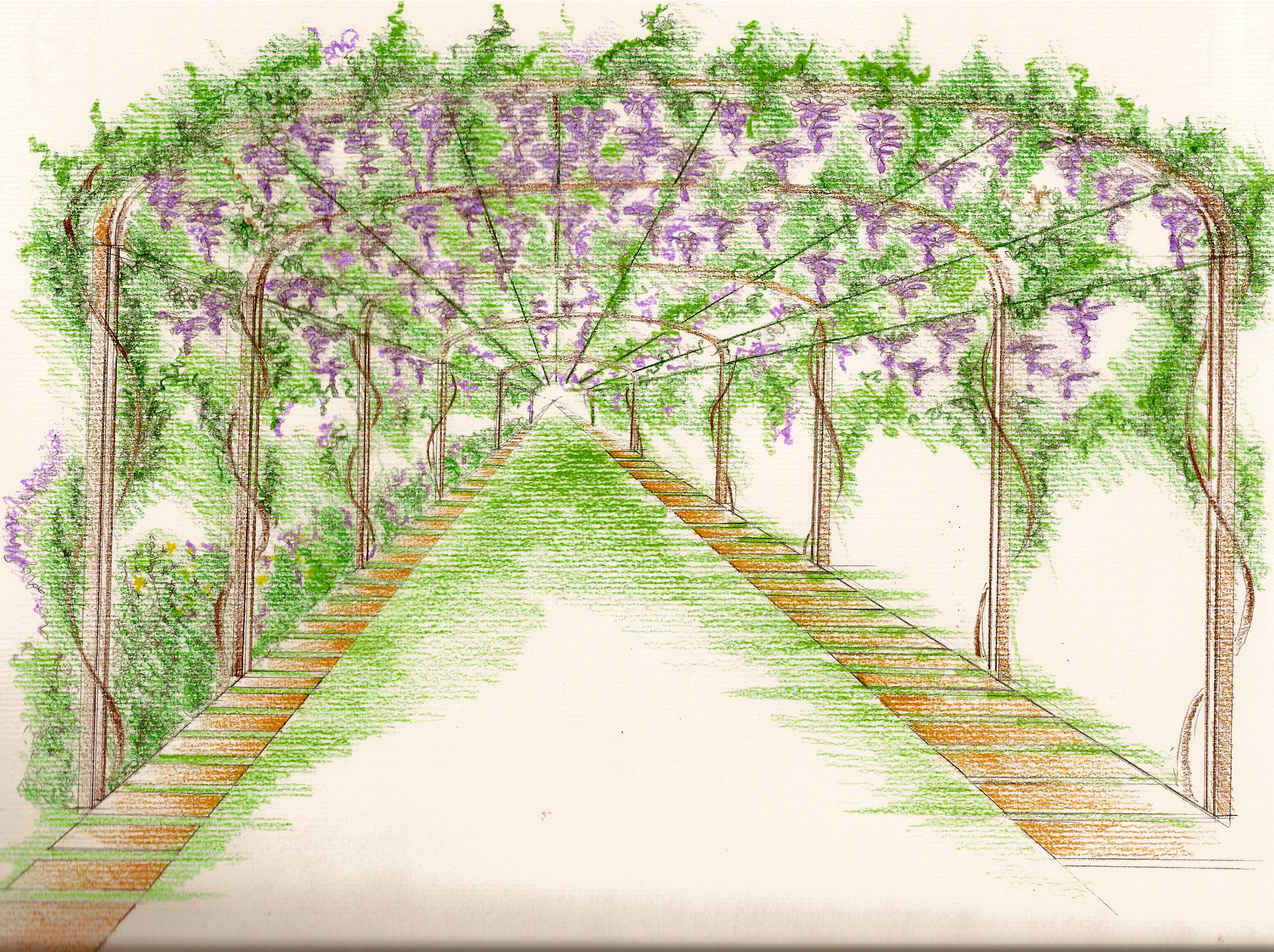 schizzo pergola 01